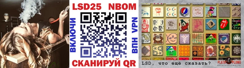 как найти Холм Марки 25I-NBOMe 1,5мг